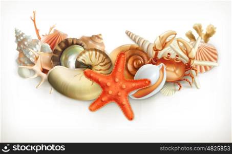 Set of seashells, vector illustration
