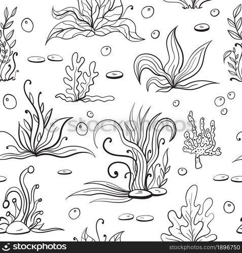 Set of seaweeds and marine plants. Seamless pattern of algae, leaves, coral. Vintage style drawn marine flora. White background vector illustration. Design for summer beach, decorations.