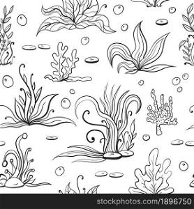 Set of seaweeds and marine plants. Seamless pattern of algae, leaves, coral. Vintage style drawn marine flora. White background vector illustration. Design for summer beach, decorations.