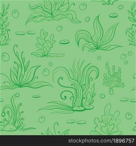Set of seaweeds and marine plants. Seamless pattern of algae, leaves, coral. Vintage style drawn marine flora. Green background vector illustration.Design for summer beach, decorations.