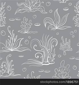 Set of seaweeds and marine plants. Seamless pattern of white algae, leaves, coral. Vintage style drawn marine flora. Grey background vector illustration. Design for summer beach, decorations.
