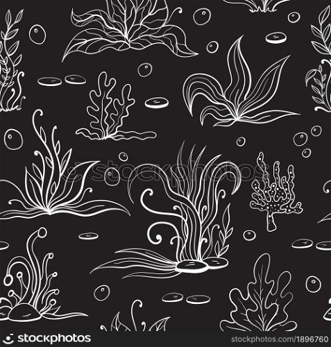 Set of seaweeds and marine plants. Seamless pattern of white algae, leaves, coral. Vintage style drawn marine flora. Black background vector illustration. Design for summer beach, decorations.