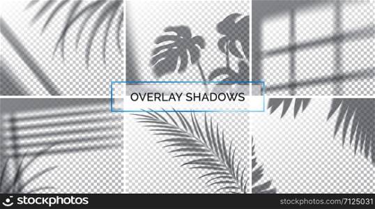 Set of shadows, overlay effects mock up, window frame and leaf of plants, natural interior light, vector illustration. Set of shadows, overlay effects mock up, window frame and leaf of plants, natural light, vector illustration.