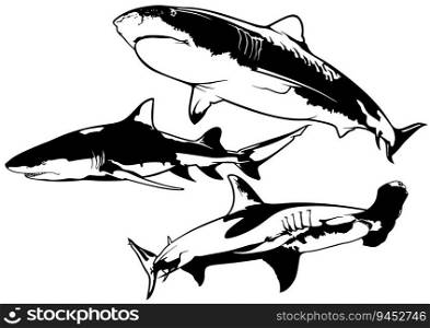 Set of Shark Drawings - Black and White Illustrations Isolated on White Background, Vector