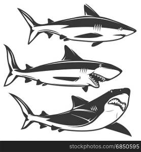 Set of shark icons isolated on white background. Design element for logo, label, emblem, sign, brand mark. Vector illustration.