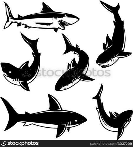 Set of shark illustrations. Design element for poster, print, emblem, sign. Vector illustration. Set of shark illustrations. Design element for poster, print, emblem, sign.