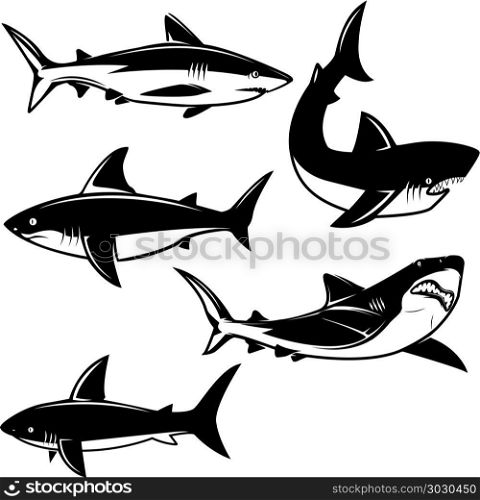Set of shark illustrations on white background. Design element for logo, label, emblem, sign. Vector image. Set of shark illustrations on white background. Design element for logo, label, emblem, sign.