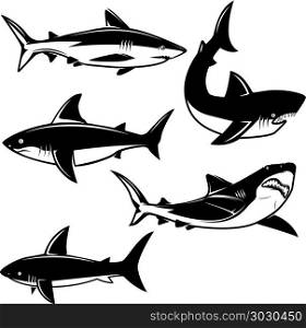 Set of shark illustrations on white background. Design element for logo, label, emblem, sign. Vector image. Set of shark illustrations on white background. Design element for logo, label, emblem, sign.