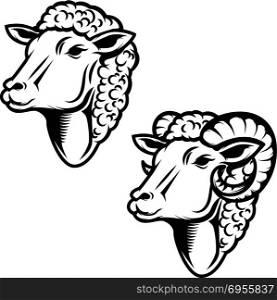 Set of sheep head illustration. Ram head. Design element for logo ,label, emblem, sign. Vector illustration