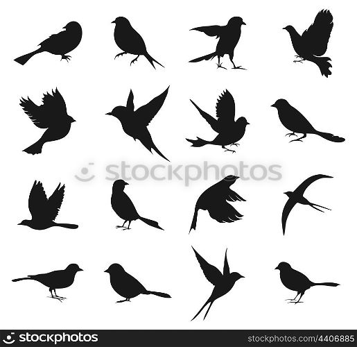 Set of silhouettes of birds. A vector illustration