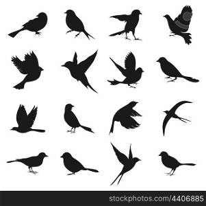 Set of silhouettes of birds. A vector illustration