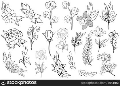 Set of simple botanical elements for design, vector illustration. Collection of flowers and leaves, hand drawing. Contour black minimalistic illustrations for decor and postcards.. Set of simple botanical elements for design, vector illustration.