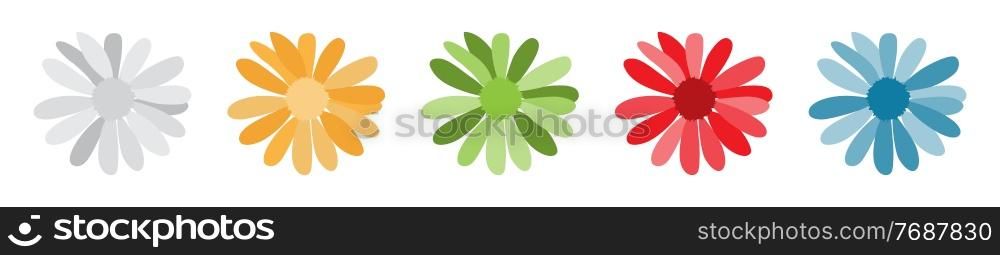 Set of simple flower of blossoming chamomile. Vector Illustration. EPS10. Set of simple flower of blossoming chamomile. Vector Illustration
