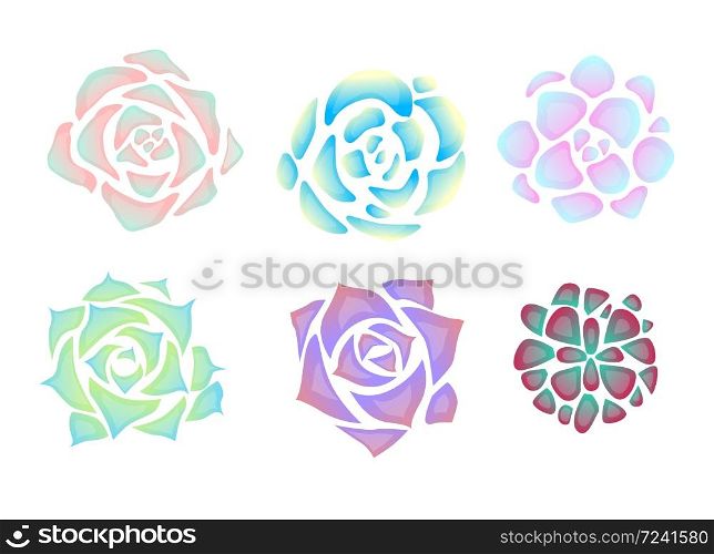 set of simple neon succulents with glare. View from above. Objects separate from the background. Vector element for creating postcards, patterns and your design.. Set of simple neon succulents with glare. View from above.