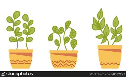 Set of simple Vector houseplants and flowers in pots. Vector flat illustration.. Set of simple Vector houseplants and flowers in pots. Vector flat illustration