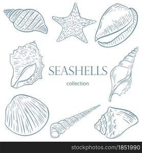 Set of sketch seashells vector illustration. Collection of different seashells isolated on white background. Hand engraved shellfish for design and creativity.. Set of sketch seashells vector illustration.