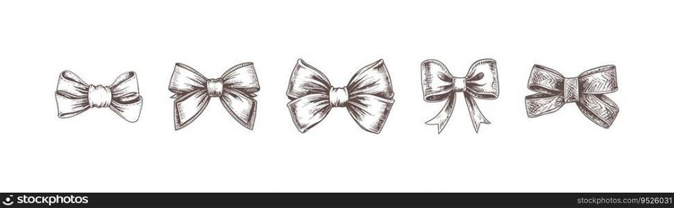 Set of sketched bow and ribbon. Hand drawn vintage. Vector illustration desing.