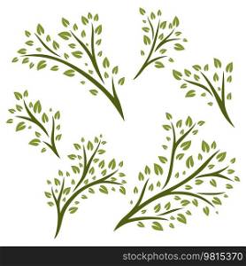 Set of sprigs with green leaves. Decorative natural plants.. Set of sprigs with green leaves. Decorative plants.