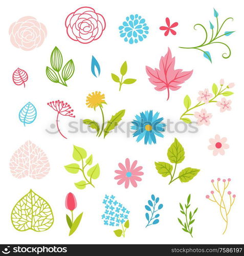 Set of spring flowers. Beautiful decorative natural plants, buds and leaves.. Set of spring flowers.