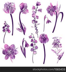 Set of spring flowers with purple abstract watercolor texture on background, hand drawn vector illustration.