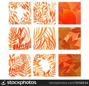 Set of square shapes with autumn leaves and herbs. Vector design elements.. Set of square shapes with autumn leaves and herbs. Vector design