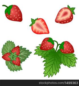 Set of strawberry fruits and green leaves isolated on white background. Vector illustration