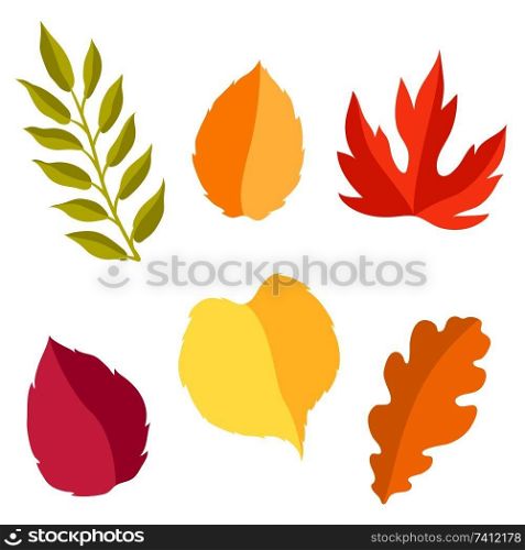 Set of stylized autumn foliage. Falling leaves in simple style.. Set of stylized autumn foliage.