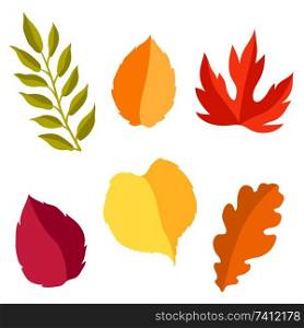 Set of stylized autumn foliage. Falling leaves in simple style.. Set of stylized autumn foliage.