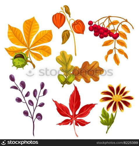 Set of stylized autumn leaves and plants. Objects for decoration, design on advertising booklets, banners, flayers.