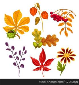 Set of stylized autumn leaves and plants. Objects for decoration, design on advertising booklets, banners, flayers.