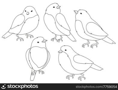 Set of stylized birds. Image of wild birdie in linear style. Vector icons.. Set of stylized birds. Image of wild birdie in linear style.