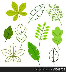 Set of stylized green leaves. Spring or summer foliage. Set of stylized green leaves. Spring or summer foliage.