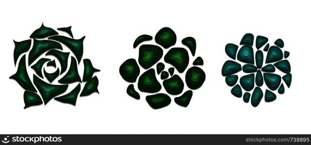 Set of succulents cut out of paper in green color with a top view on white background. Objects separated from background. Vector element for your creativity. Set of succulents cut out of paper in green color with a top view on white background. Objects separated from background.