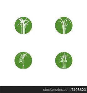 Set of Sugar cane Logo Template vector symbol nature