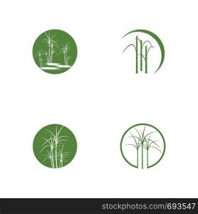 set of Sugar cane Logo Template vector symbol nature