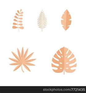 Set of Summer tropical leaves isolated on white background. Vector illustration. EPS10. Set of Summer tropical leaves isolated on white background. Vector illustration