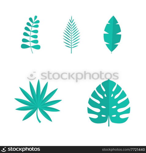 Set of Summer tropical leaves isolated on white background. Vector illustration. EPS10. Set of Summer tropical leaves isolated on white background. Vector illustration