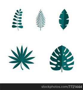Set of Summer tropical leaves isolated on white background. Vector illustration. EPS10. Set of Summer tropical leaves isolated on white background. Vector illustration
