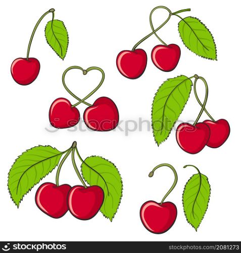 Set of sweet juicy bright cherry fruit hand drawn for food design on white