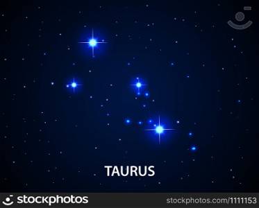 Set of Symbol Zodiac Taurus