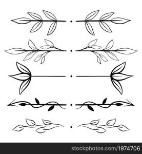 Set of text delimiters, hand drawing. Botanical card dividers with leaves and twigs. Collection of jewelry for writing, vector illustration.. Set of text delimiters, hand drawing.