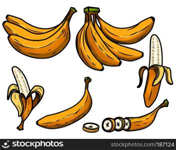 Set of the fresh banana icons. Design elements for logo, label, emblem, poster. Vector illustration