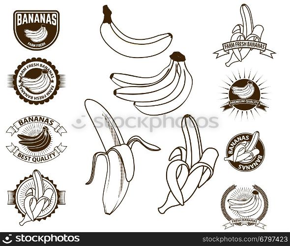 Set of the fresh banana logo. Vector design elements for logo, label, emblem.