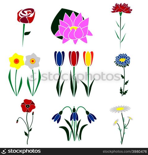 Set of the most common flowers. Flowers in the style of flat.