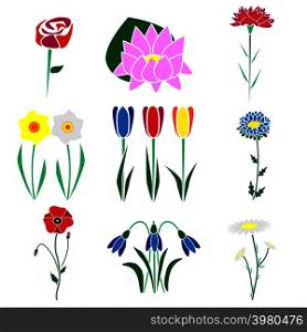 Set of the most common flowers. Flowers in the style of flat.