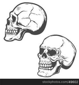 Set of the vector skulls isolated on white background.