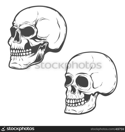 Set of the vector skulls isolated on white background.