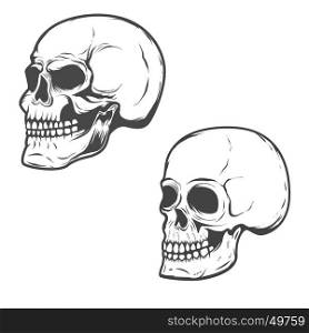 Set of the vector skulls isolated on white background.