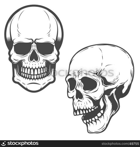 Set of the vector skulls isolated on white background. Vector design elements.
