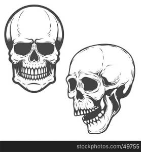 Set of the vector skulls isolated on white background. Vector design elements.